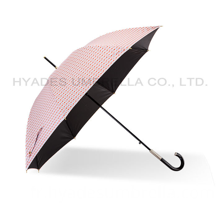Parapluie droit ouvert léger résistant au vent Wind Resistant Lightweight Auto Open Straight Umbrella